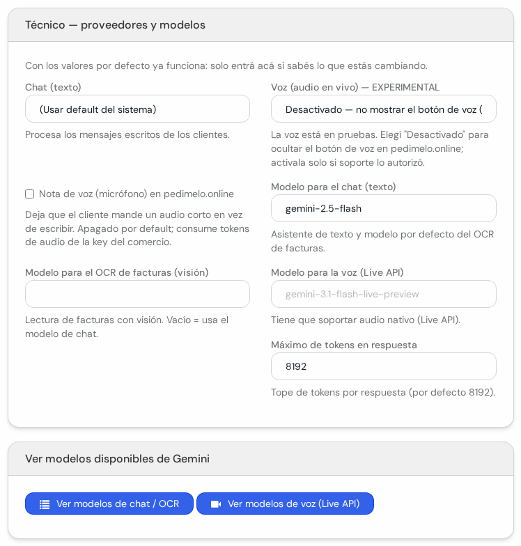 Cuadros Técnico con proveedores y modelos, y Ver modelos disponibles de Gemini con dos botones