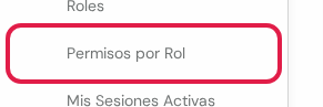 Opción Permisos por Rol marcada en rojo debajo del título Acceso y Seguridad