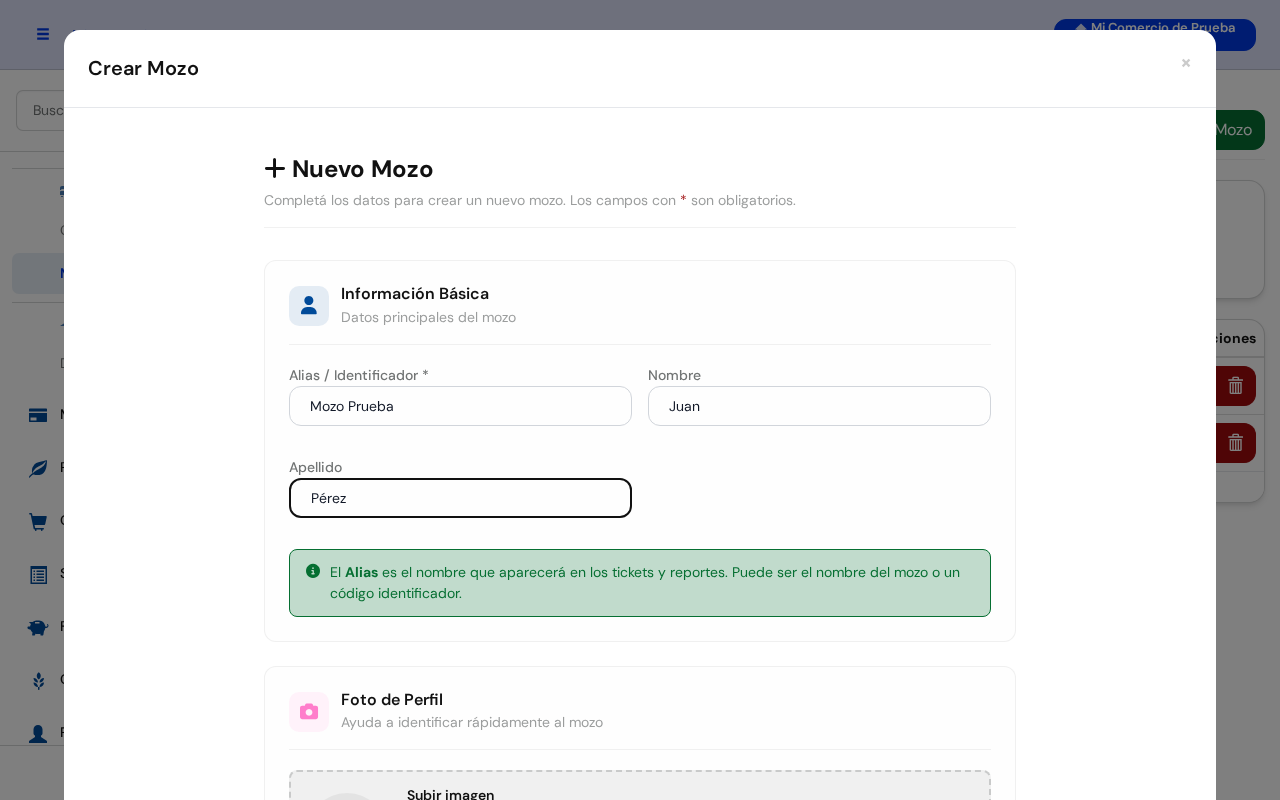 Ventanita Nuevo Mozo con la Información Básica