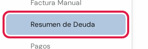 Opción Resumen de Deuda marcada en rojo, debajo del título Facturas y Pagos